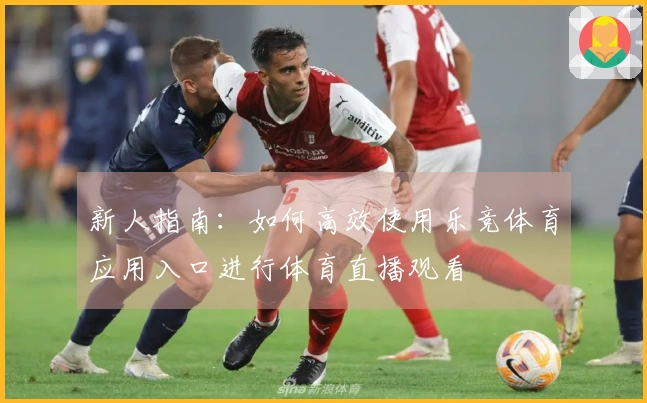 新人指南：如何高效使用乐竞体育应用入口进行体育直播观看