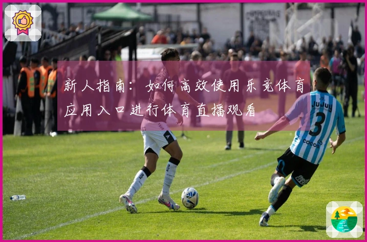 新人指南：如何高效使用乐竞体育应用入口进行体育直播观看